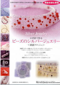 �r�[�Y�̃V���o�[�W���G���[�@����N���b�V�F